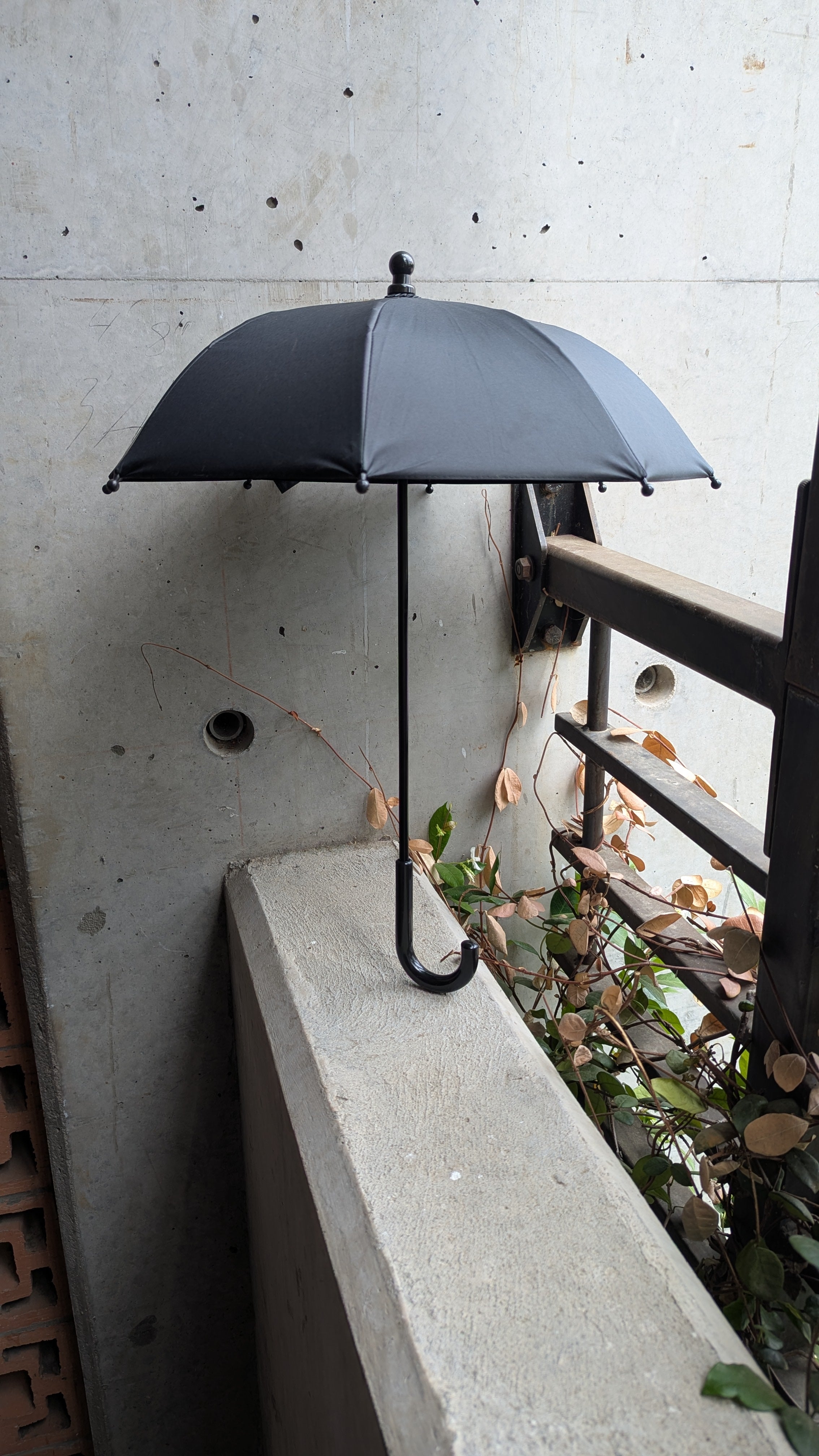 Black parasol leaning against a concrete wall with plants in the background